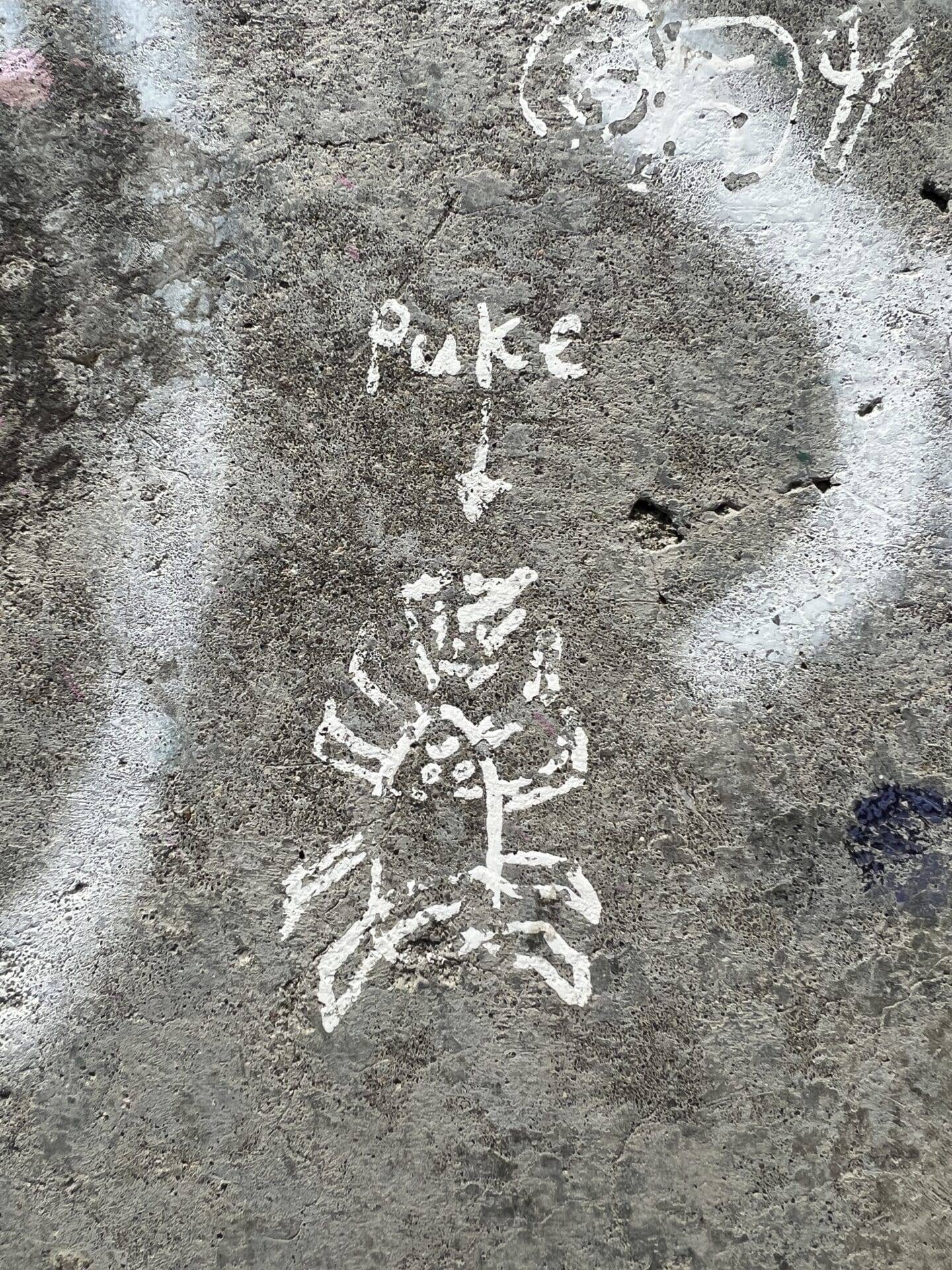 The Sketch of Puke