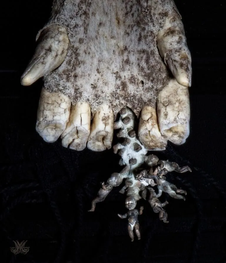 Baby Teeth