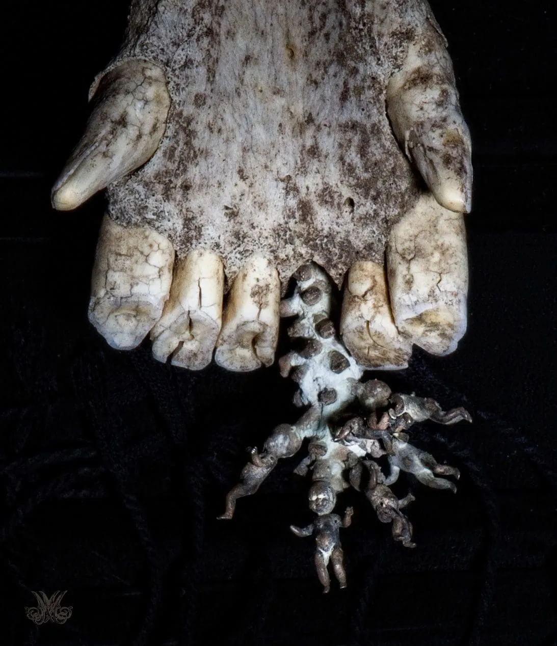 Baby Tree Teeth