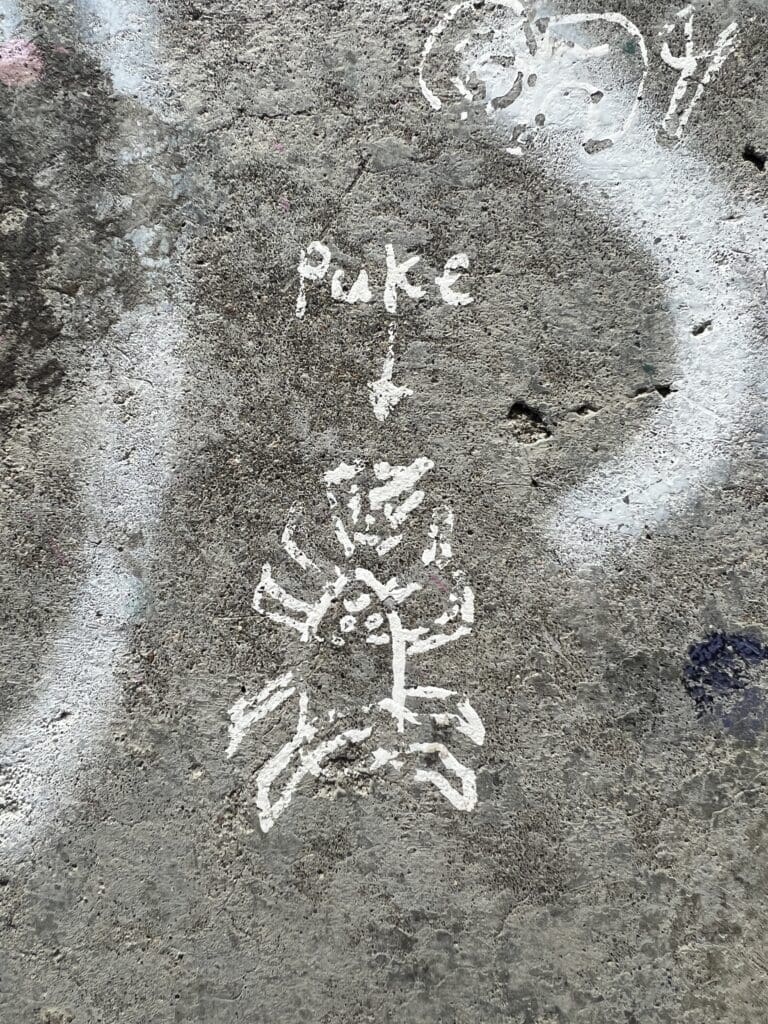 Spider Puke