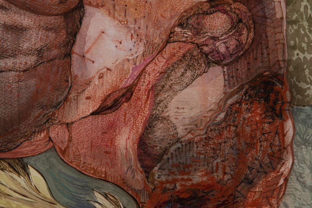 anima-detail_D3_2362