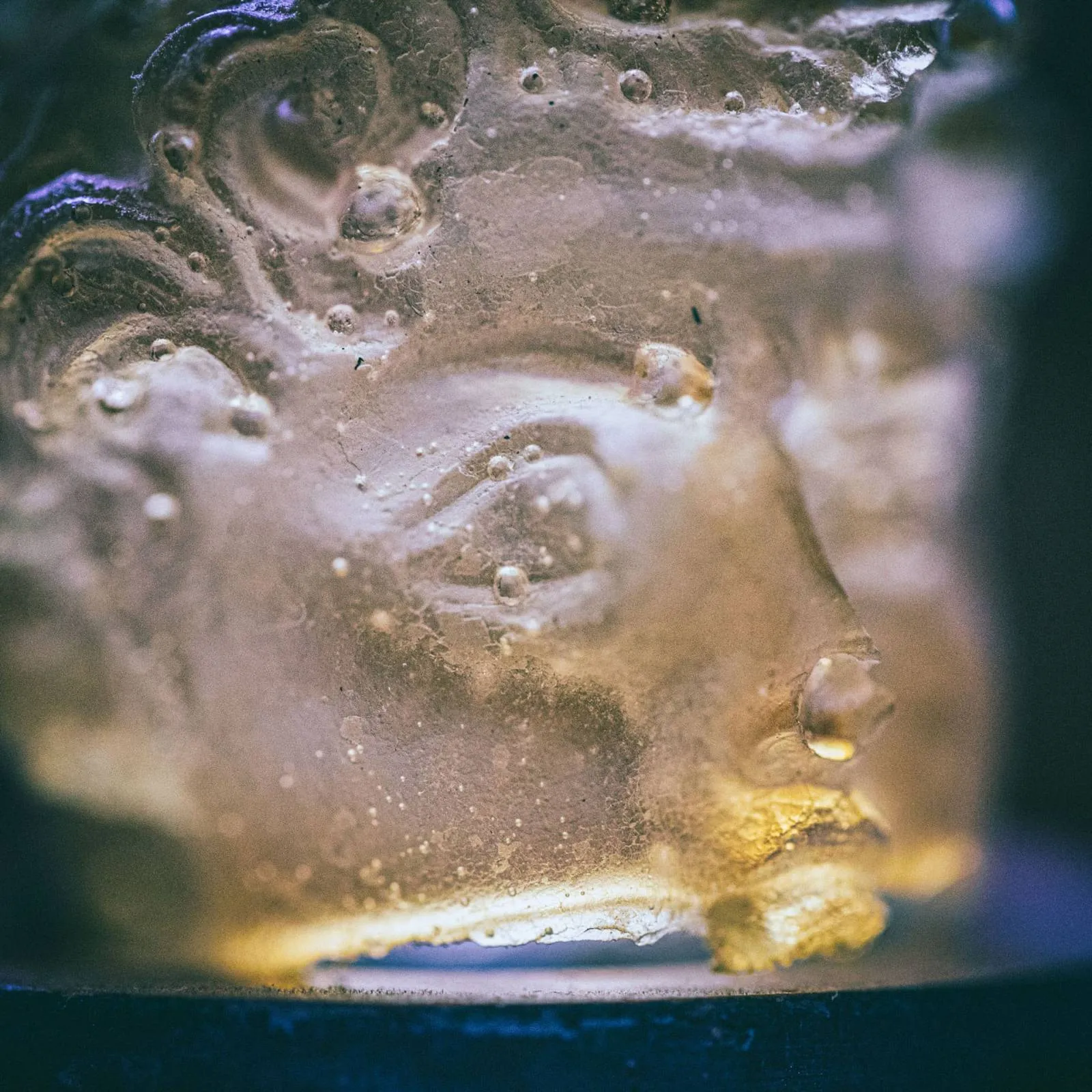 Two Pictures Half Head